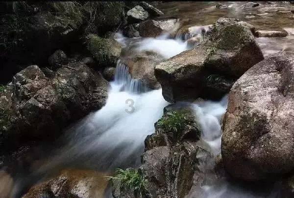 救援受困的小恐龙